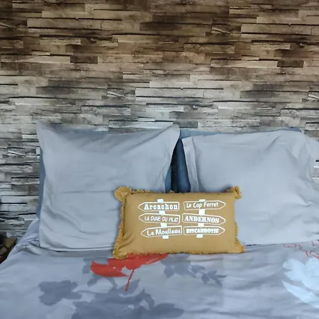 Les Cigales Du Bassin - Bed & Breakfast Gujan-Mestras