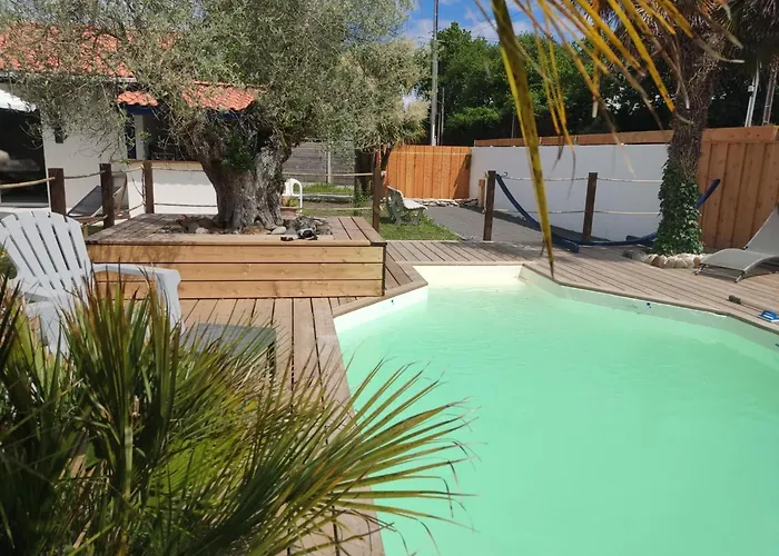 Les Cigales Du Bassin - Gujan-Mestras